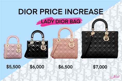 lady dior price 2013|christian dior bag price list.